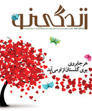 مجله انجمن خیریه خدمات درمانی حضرت ابوالفضل
