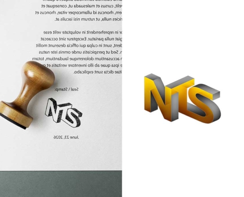 18-LOGO-Design-NTS-company 18 LOGO Design NTS company