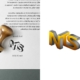 Logo Design- NTS company 5 18 LOGO Design NTS company